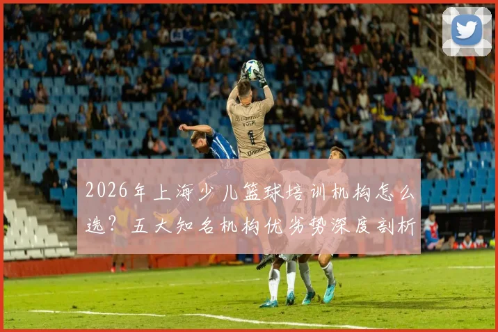 2026年上海少儿篮球培训机构怎么选?五大知名机构优劣势深度剖析与学费价格参考
